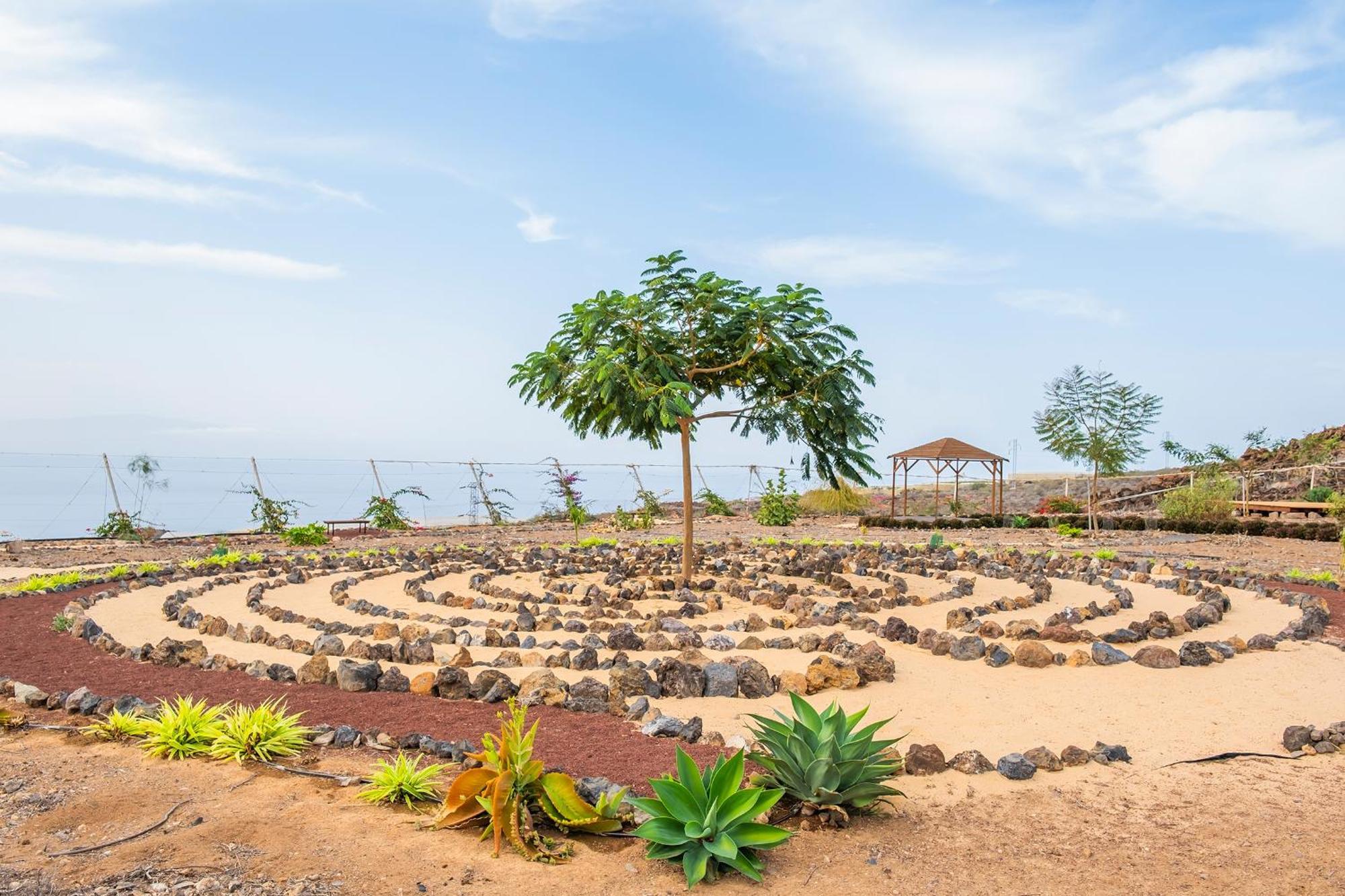 Tenerife Healing Garden Guía de Isora Exterior foto