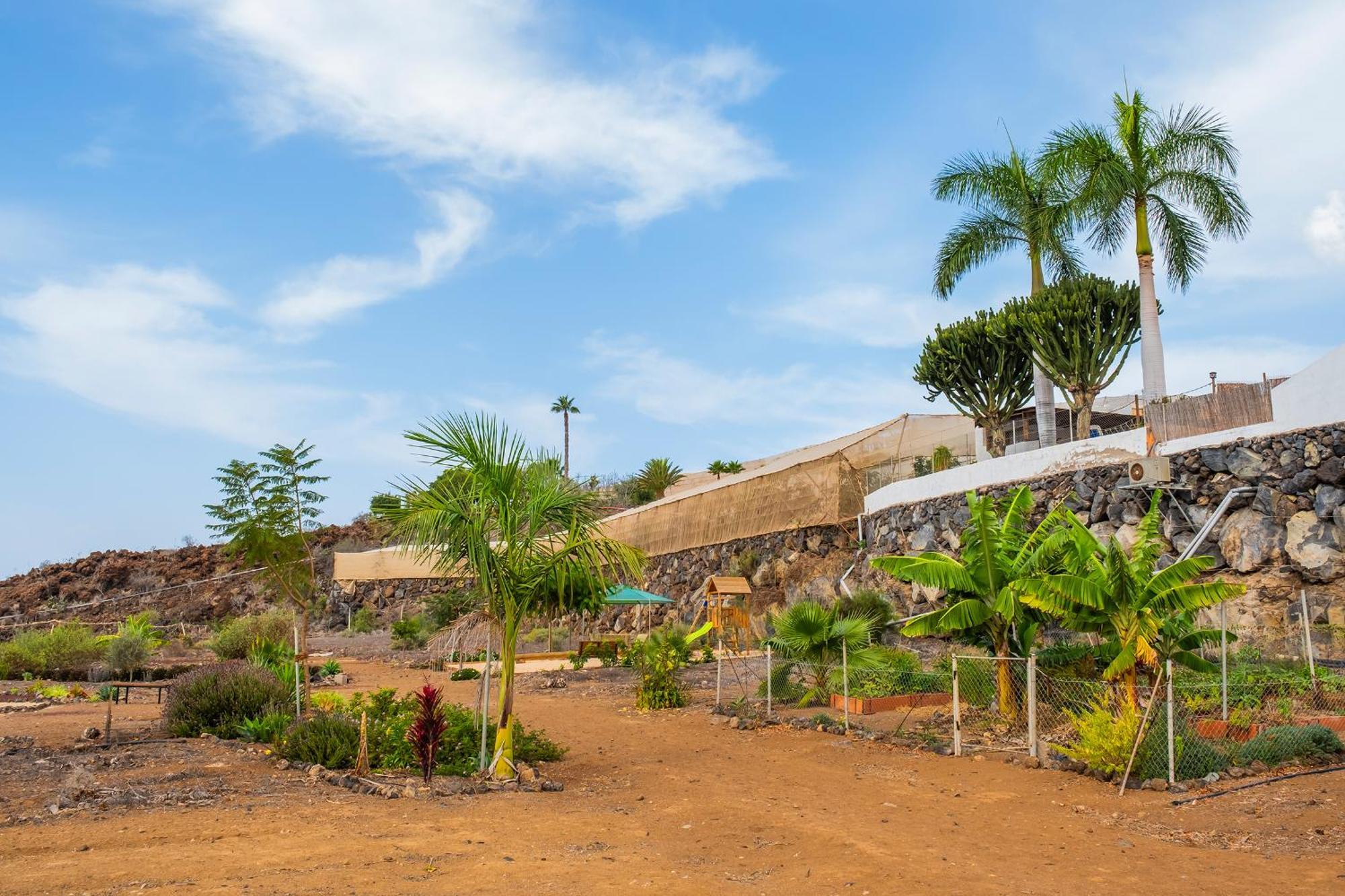 Tenerife Healing Garden Guía de Isora Exterior foto
